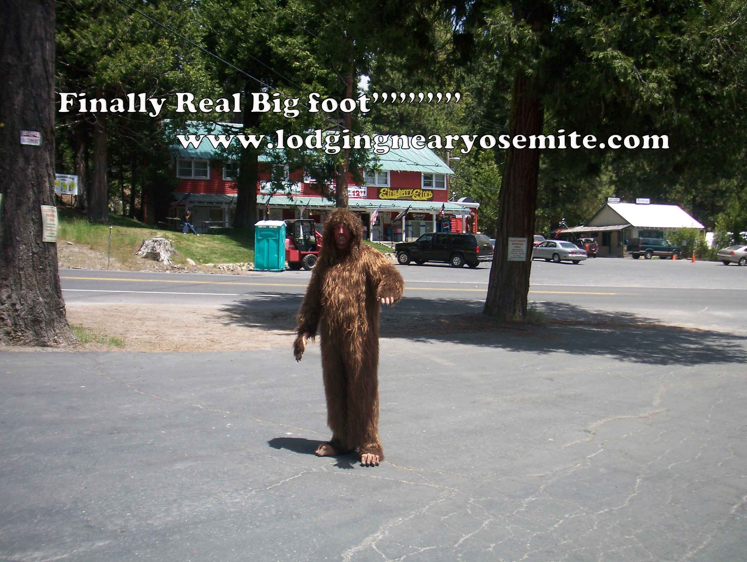 BigFoot in Yosemite Area