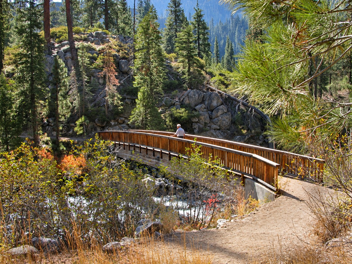 A wooden bridge surrounded by Sierra Nevada forest, from Larry’s personal collection