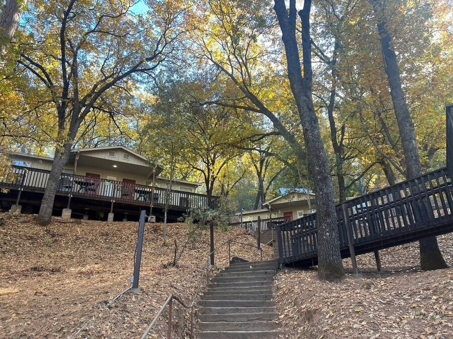 Yosemite Bug resort among trees